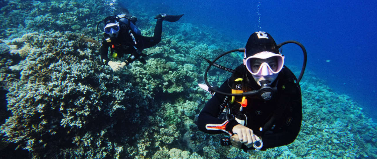 How to Choose a Dive Shop: A Divemaster's Honest Guide