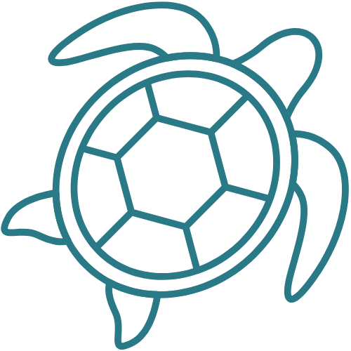 Sea turtle swimsuits.