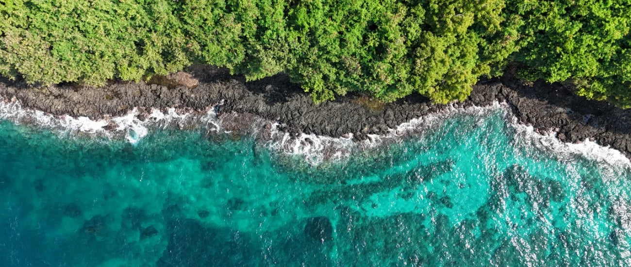 10 Essential Tips for Sustainable Scuba Diving (From a Diver Who Actually Cares)