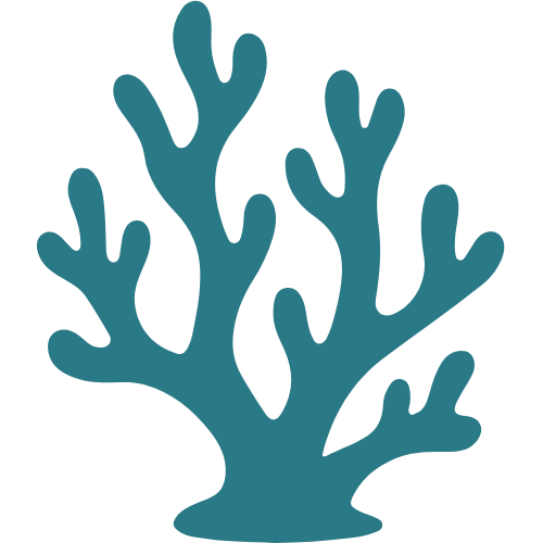Teal coral design on a white background