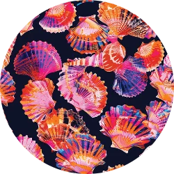 Neon shells swimwear print, The Dive Compass dive wear made for scuba divers 