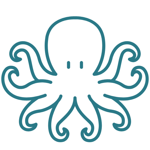 So I'm more inspired by octopuses for octopus lovers. 