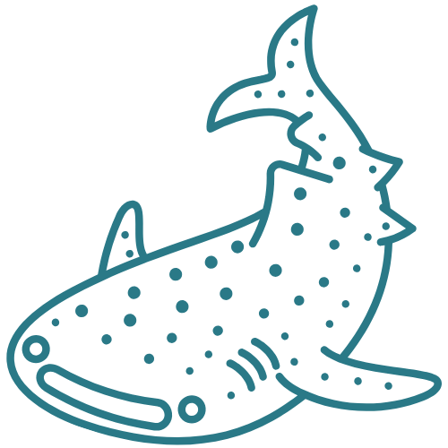 Whale Shark Icon Swimwear inspired by whale sharks 